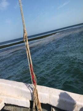 Sailing across the Atlantic waters of Banc d'Arguin on a lanche