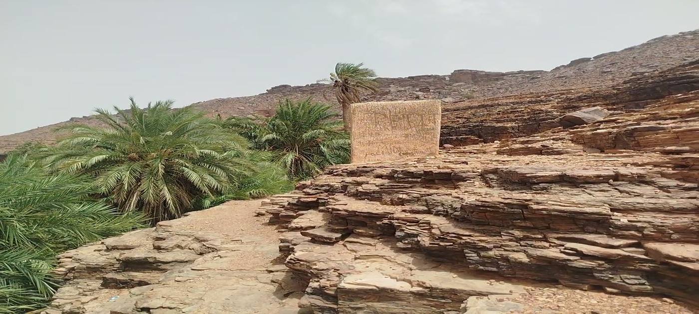 Palm trees and sandstone rocks at Terjit, Adrar region